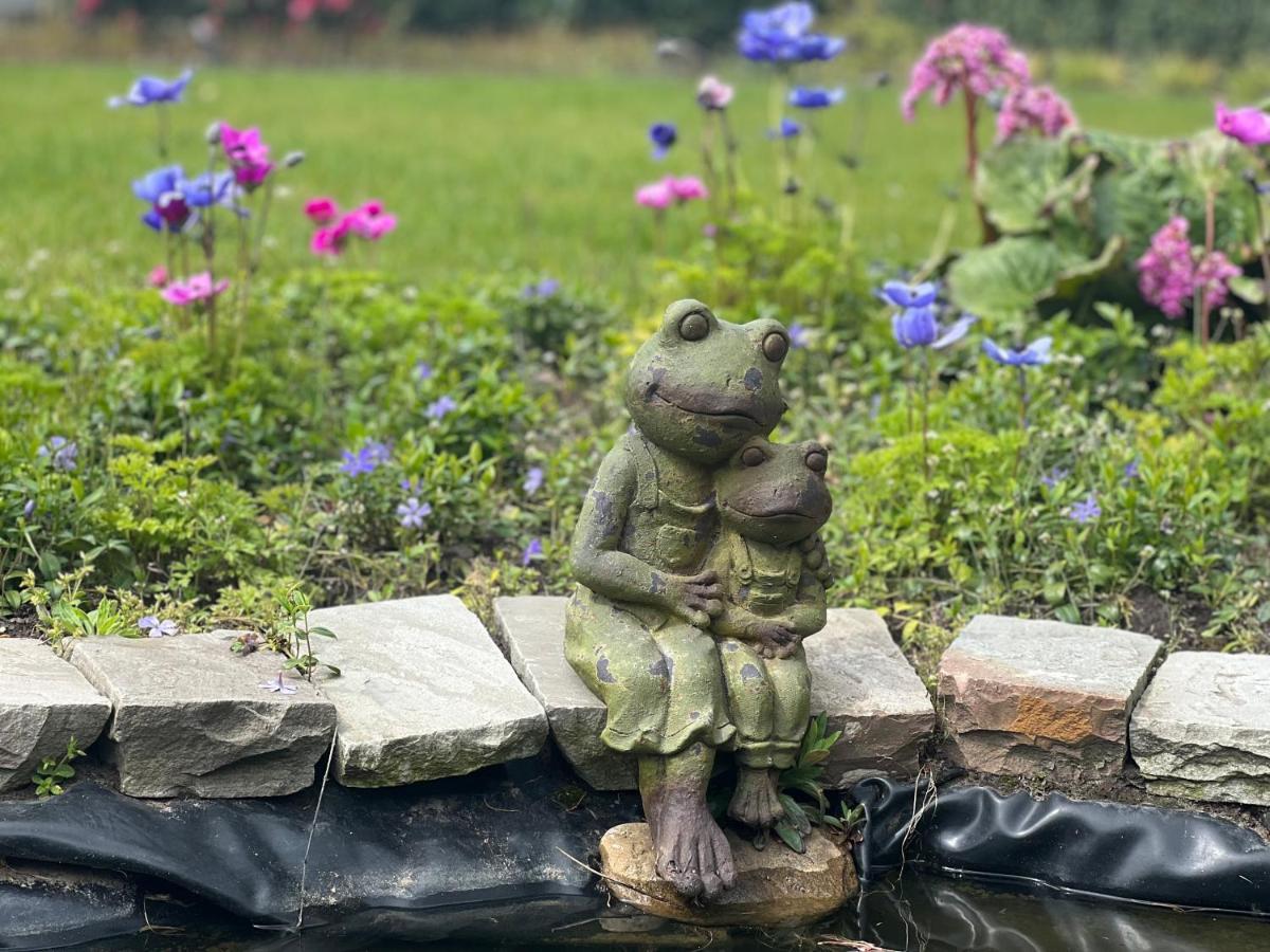 Ikigai B&B - Wellness Oud-Turnhout Zewnętrze zdjęcie