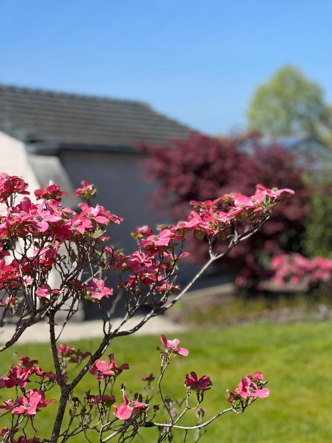 Bed and Breakfast Ikigai Oud-Turnhout Zewnętrze zdjęcie