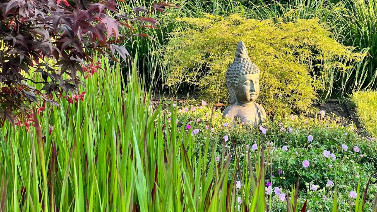 Ikigai B&B - Wellness Oud-Turnhout Zewnętrze zdjęcie