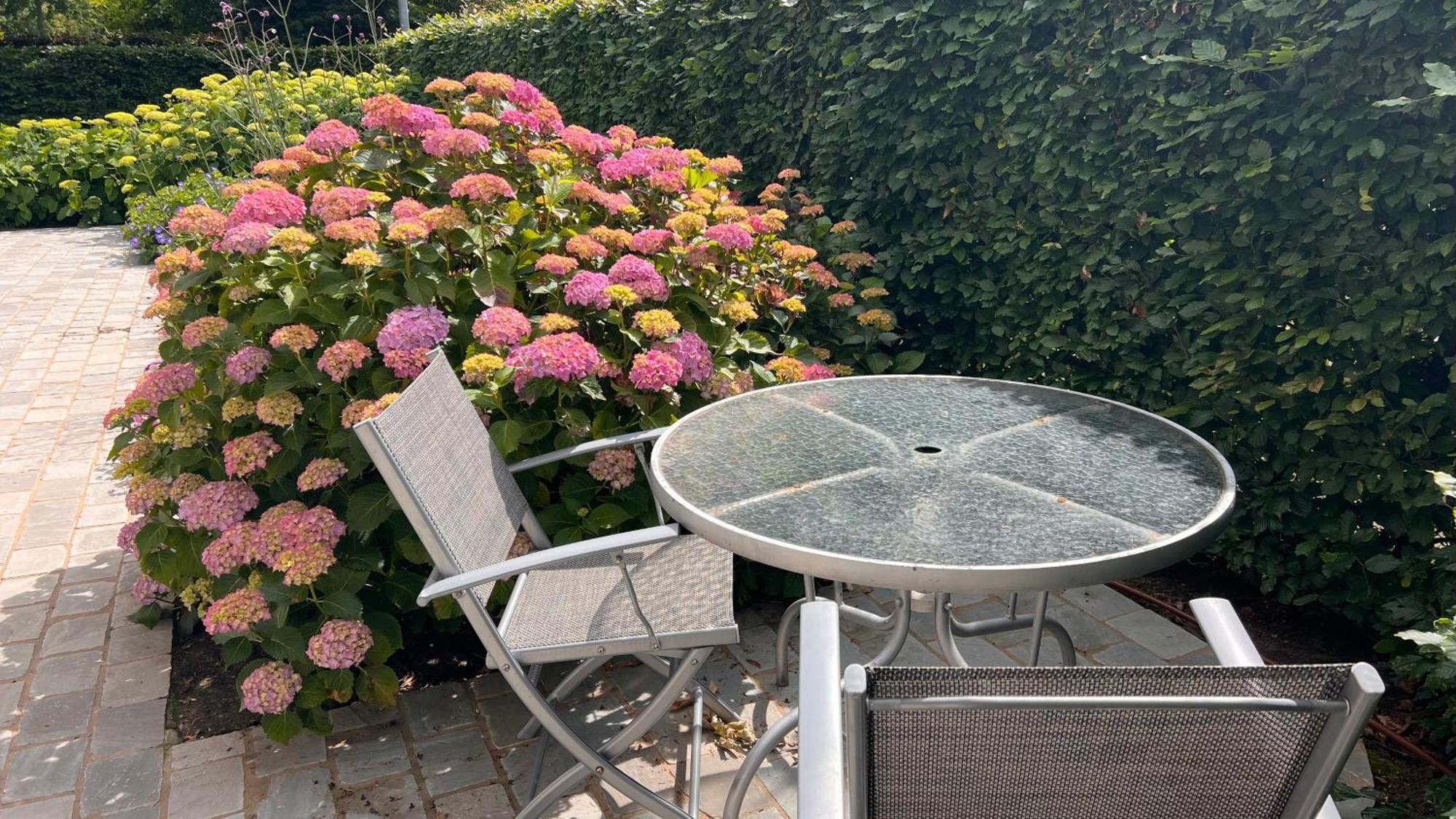 Bed and Breakfast Ikigai Oud-Turnhout Zewnętrze zdjęcie