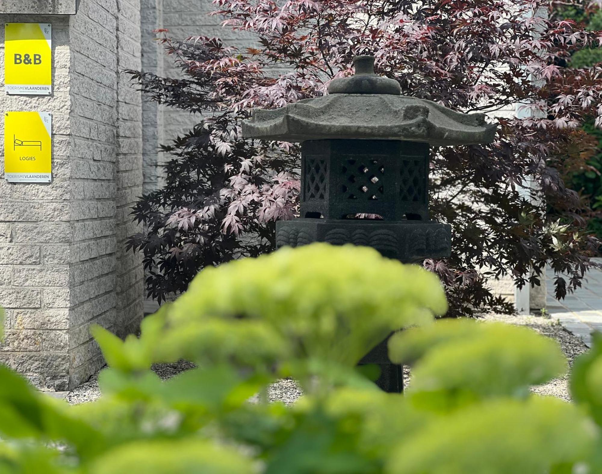 Ikigai B&B - Wellness Oud-Turnhout Zewnętrze zdjęcie