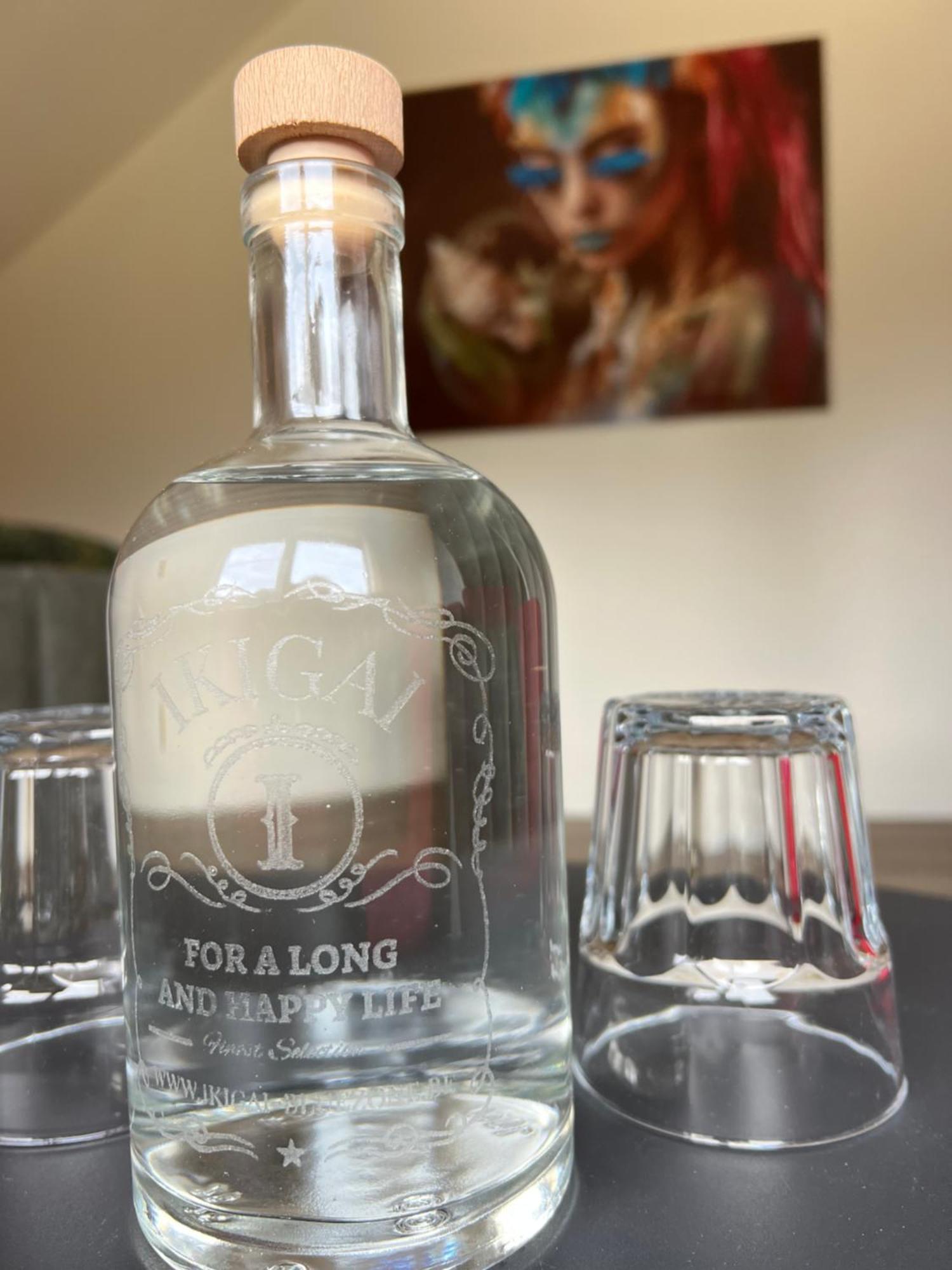Ikigai B&B - Wellness Oud-Turnhout Zewnętrze zdjęcie