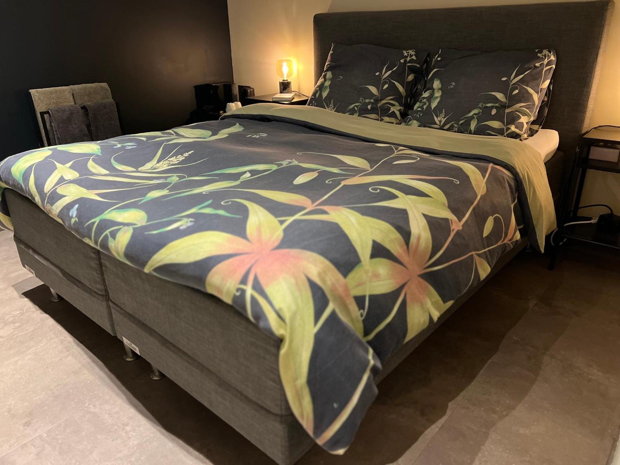 Bed and Breakfast Ikigai Oud-Turnhout Zewnętrze zdjęcie
